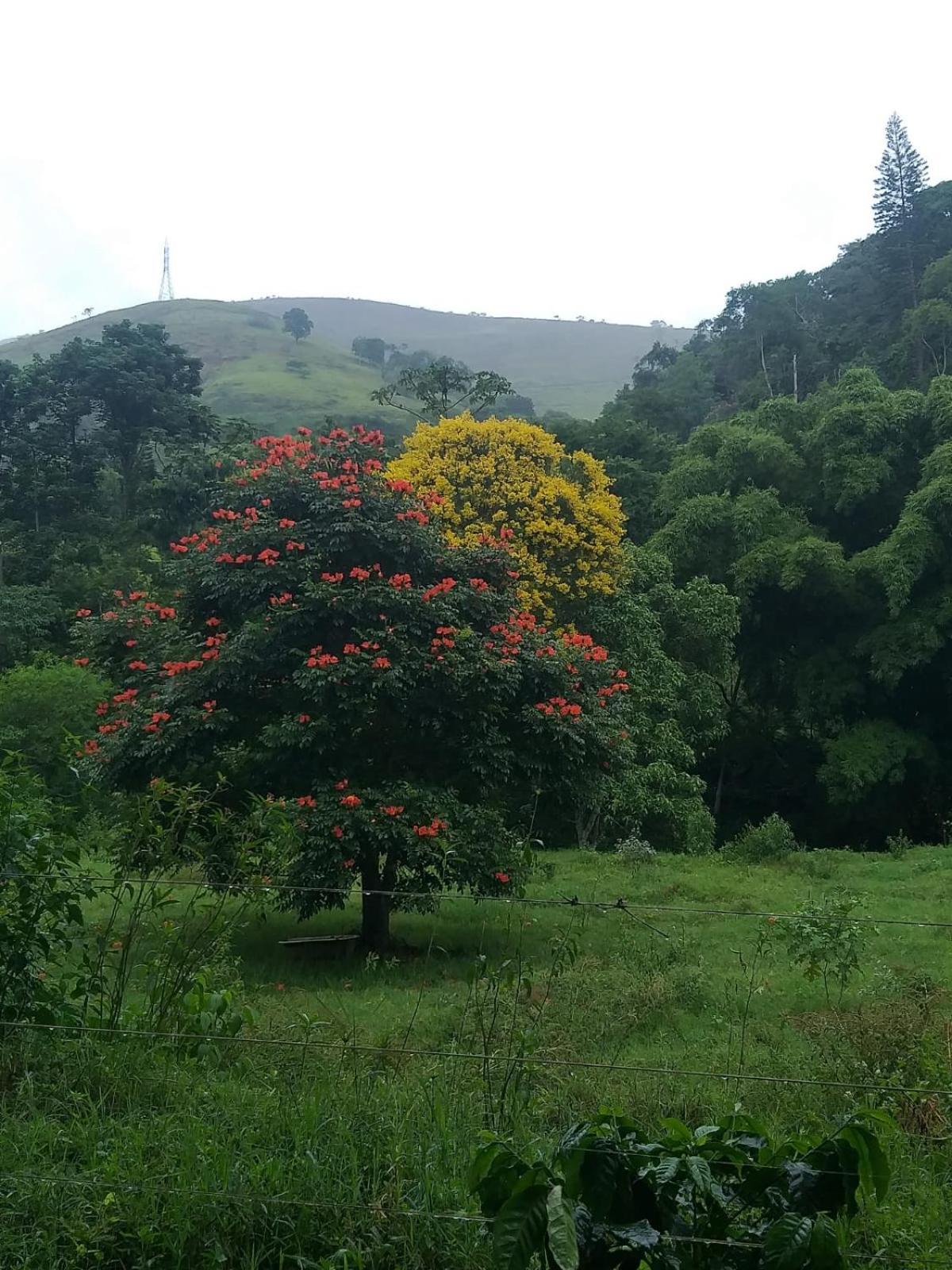 Fazenda Piloes Villa Petrópolis Kültér fotó